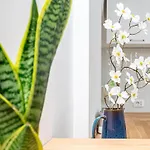 Aeterna Rhome - Domus Piramide Apartment